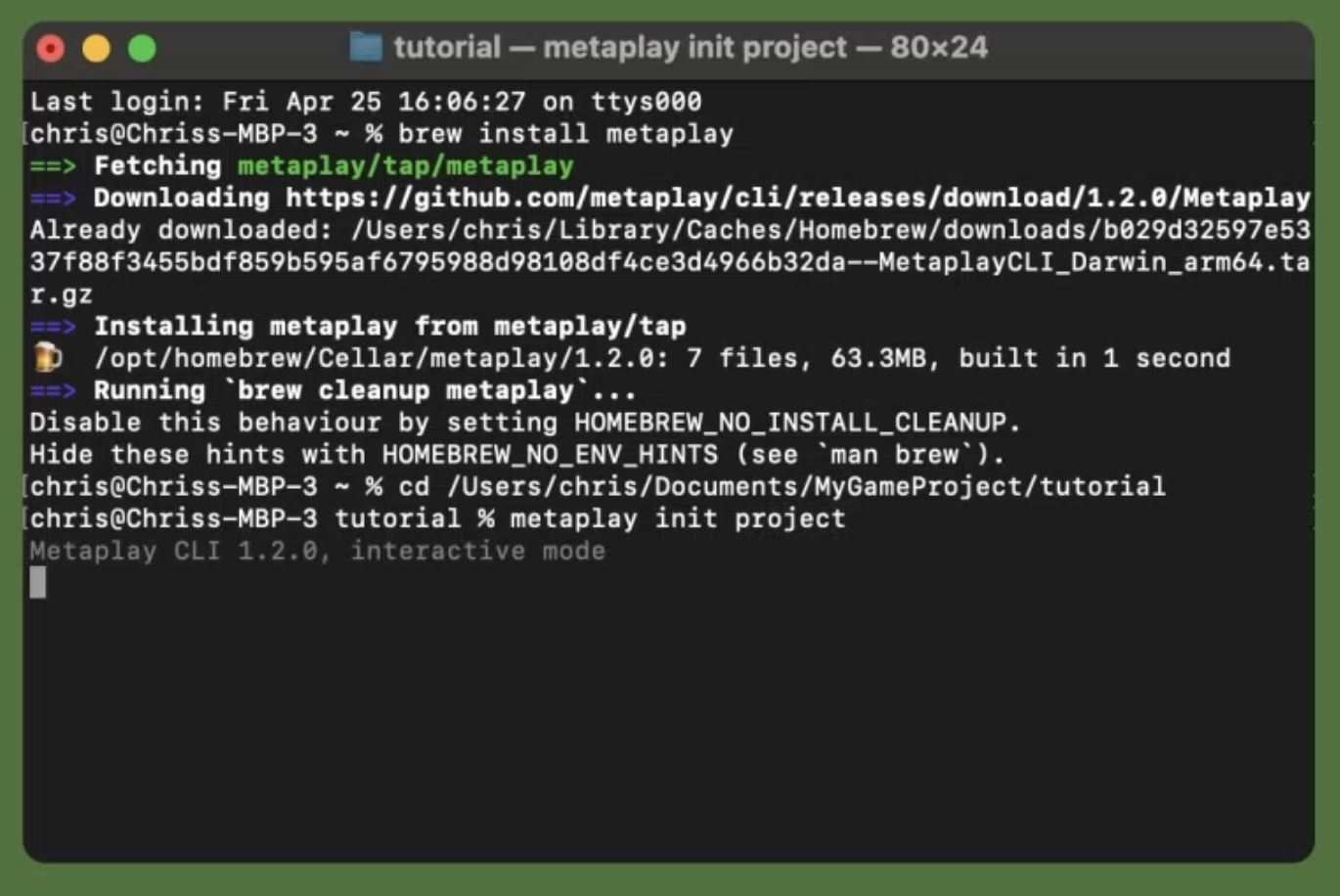 Initializing a Metaplay project in terminal